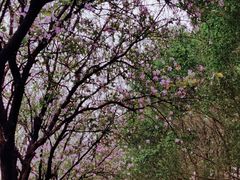 -南丰汇(新港东路店)