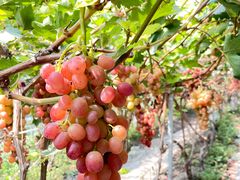 -兴芮温泉度假区