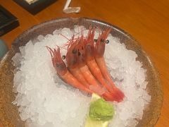 -月龍吟(朝龙汇店)
