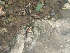 -英西峰林·洞天仙境