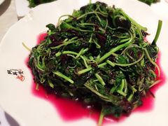 -阿英煲(凉城路店)