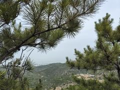 -五龙城郊森林公园