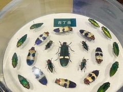 -陕西自然博物馆