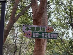 -平湖九龙山旅游度假区