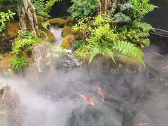 -唐河王记·南阳民间菜(国基路店)