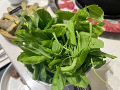 -木王宴语·野生鲜菌火锅(玉河店)