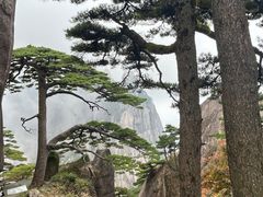 -黄山风景区