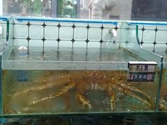 -日照大牌檔•小船海鲜(万平口店)