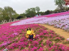 -石家庄市植物园