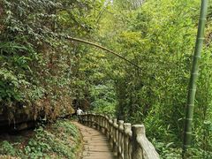 -蜀南竹海景区