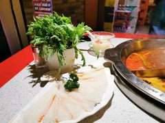 -大龙燚火锅(天钥桥路店)
