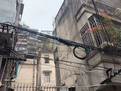 -老炳·七丛松甘草水果