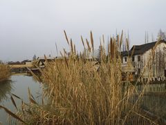 -乌村