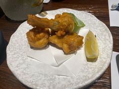 唐扬炸河豚-桥岚·巷子鲜河豚鱼(专门店)