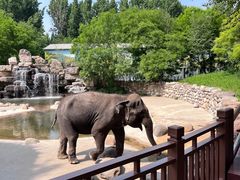 -北京野生动物园