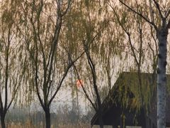 -永定河休闲森林公园