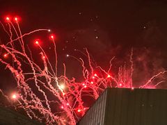 -欢乐海岸椰林沙滩-2025湾区超级灯会