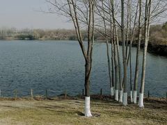-西安浐灞国家湿地公园
