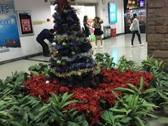 -世界之窗阿尔卑斯冰雪世界
