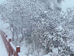 -瓦屋山景区