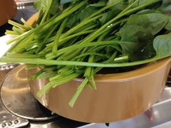 -龍歌自助小火锅(市南金茂湾店)