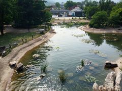 -国家植物园南园