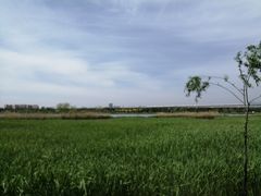 -绿堤公园