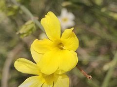 -汉长安城未央宫国家考古遗址公园