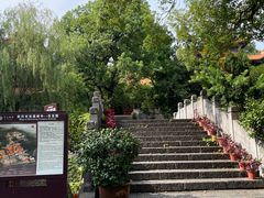 -宝通禅寺