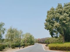 -艾溪湖湿地公园