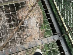 -英西峰林·洞天仙境