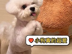 -瑞虹新天地月亮湾