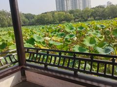 -高子水居