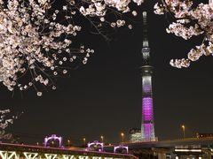 -成都濑川外国语学校