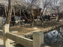 -春风习习