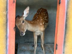 -白沙门生态公园