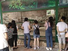 -观澜山水田园