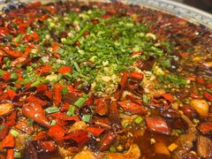 来凤鱼-新概念来凤鱼(璧山店)