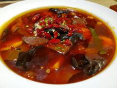 -大鸭梨烤鸭店(花园村店)