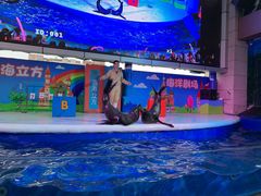 -成都浩海立方海洋公园