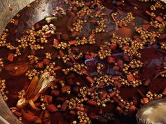 -味之绝热血美蛙鱼火锅(中坝店)