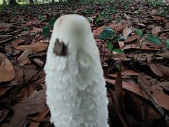 -5·12汉旺地震遗址