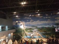 -自贡恐龙博物馆