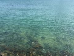 -新金盛·海鲜酒楼(盐田店)