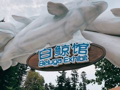 -珠海长隆海洋王国