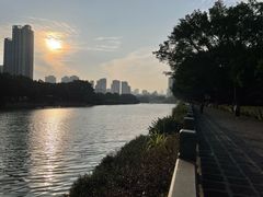 -光明港公园