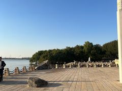 -宝安西湾红树林湿地公园