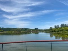 -东郊湿地公园