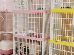 -藏猫猫咖啡主题馆(中央大道店)