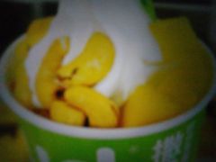 -Salud撒露欧洲冻酸奶(蓝色港湾店)